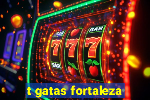 t gatas fortaleza